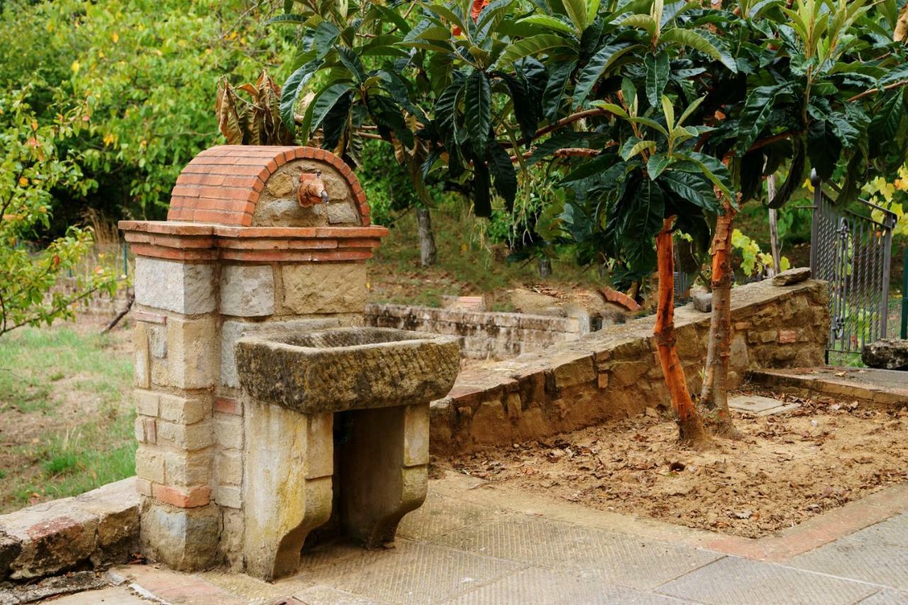 Podere Del Griccia Civitella in Val di Chiana Extérieur photo